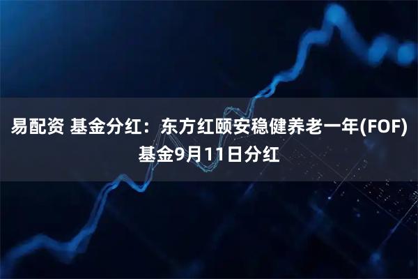 易配资 基金分红：东方红颐安稳健养老一年(FOF)基金9月11日分红