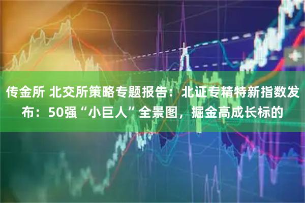 传金所 北交所策略专题报告：北证专精特新指数发布：50强“小巨人”全景图，掘金高成长标的