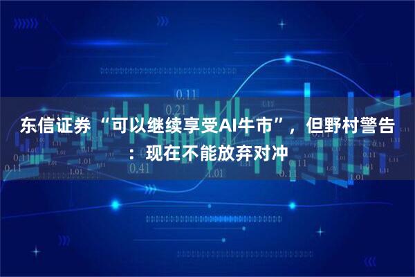 东信证券 “可以继续享受AI牛市”，但野村警告：现在不能放弃对冲