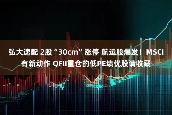 弘大速配 2股“30cm”涨停 航运股爆发！MSCI有新动作 QFII重仓的低PE绩优股请收藏