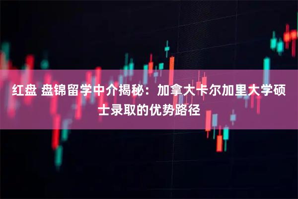 红盘 盘锦留学中介揭秘：加拿大卡尔加里大学硕士录取的优势路径
